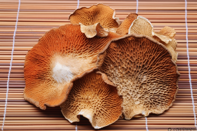 在珠帘上晾晒干的陈皮调料品摄影实拍图,高清,摄影图,摄影图片,图片大全,摄影图免费下载
